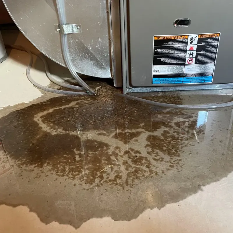 Pipe Burst and Leak Restoration in Midtown, TN