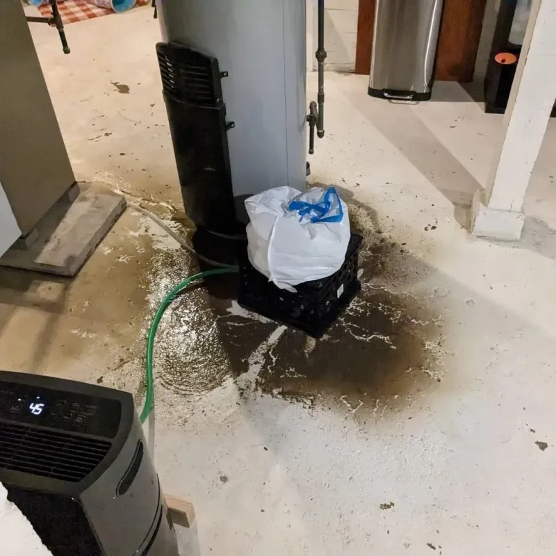 Sewage Backup Cleanup Service in Midtown, TN
